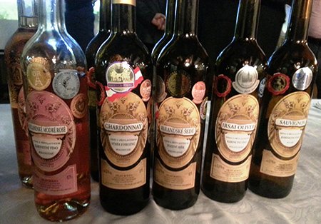 Moravian wines from the Czech Republic